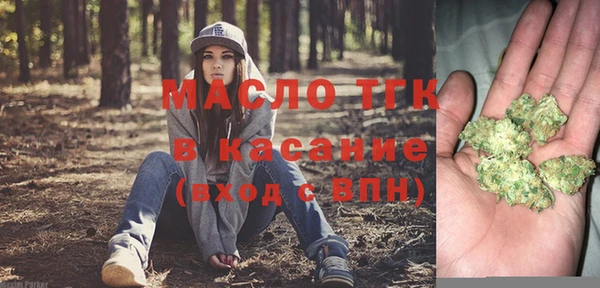 дживик Богородск