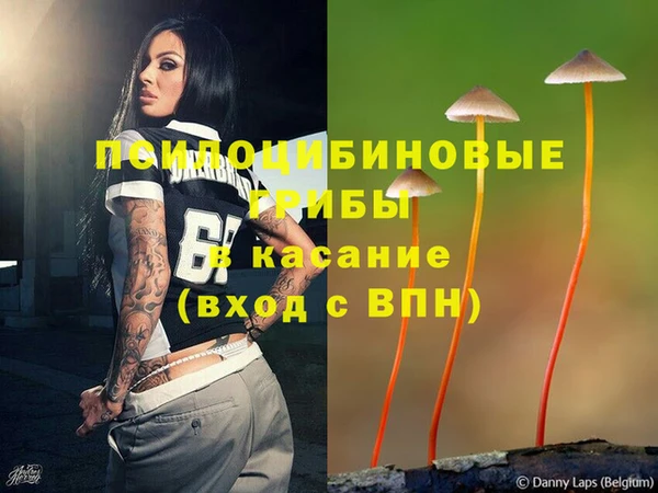 круглые Бронницы